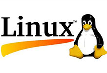 linux - yum安装提示“没有可用软件包”
